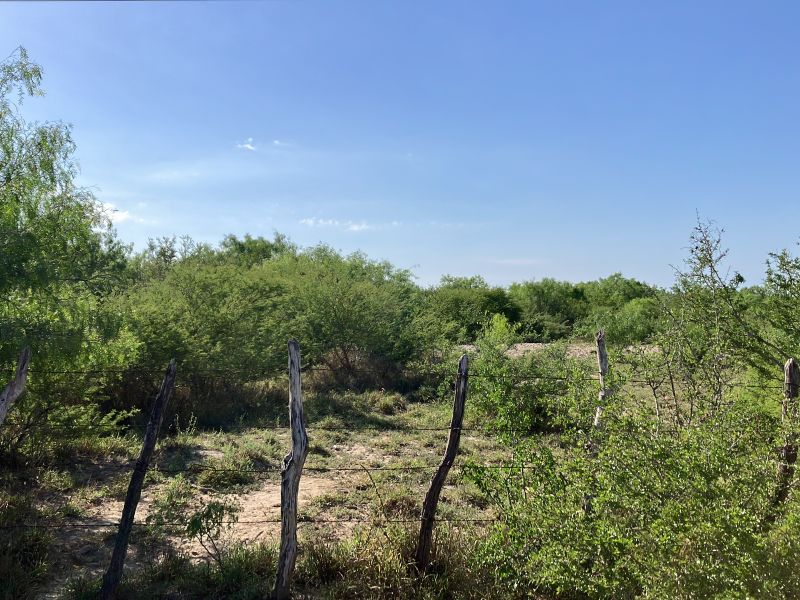 Rancho 536 has Jimenez