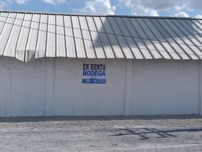 Bodega 