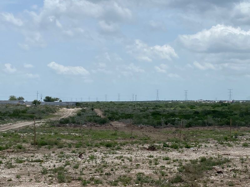 Rancho de 6.5 hectáreas frente a Brecha del Becerro con en venta en Reynosa, Tamaulipas